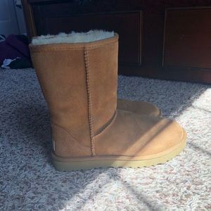 Chestnut Ugg Classic Short Boots